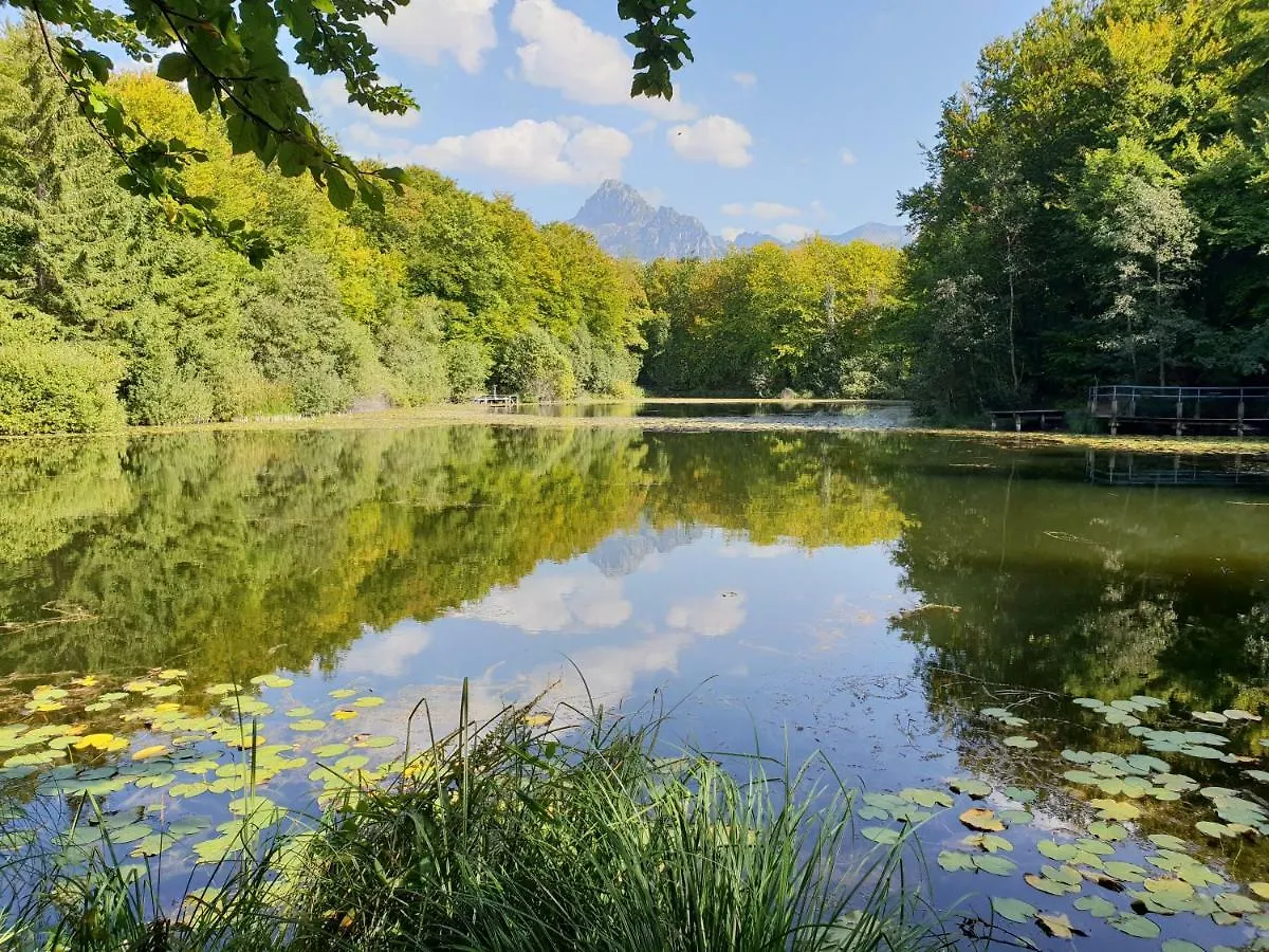 Entre Lac Et Montagnes Bernex